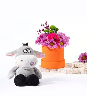 Turuncu Kutuda Pembe Papatyalar ve Peluş Eşek